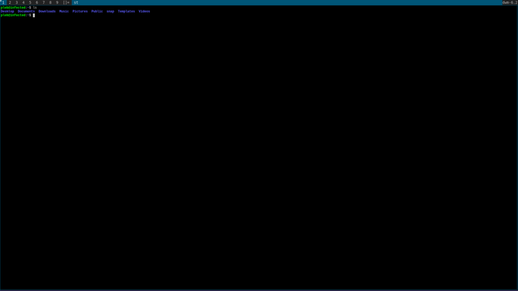 DWM running on Ubuntu 20.10 LTS