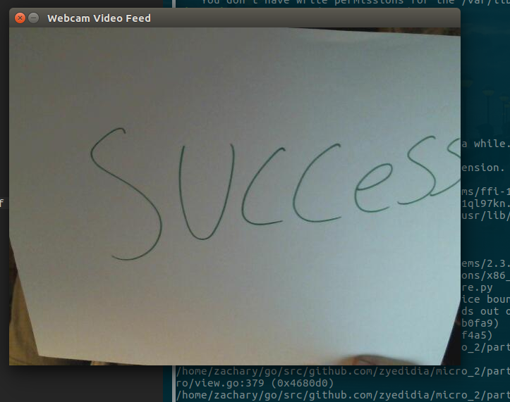 Example Webcam Capture